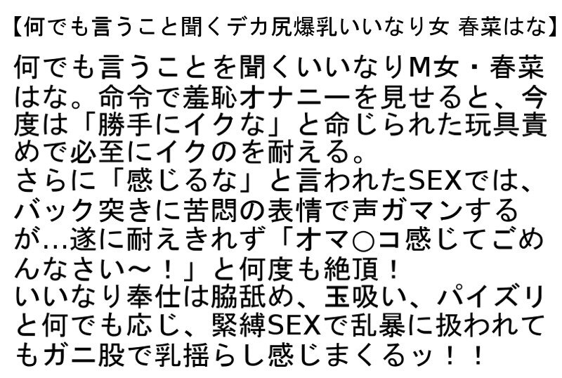 【セット商品】 【お得セット】何でも言うこと聞くデカ尻爆乳いいなり女・爆乳マゾ熟女緊縛調教・爆乳×緊縛×凌● (stcesd00119)